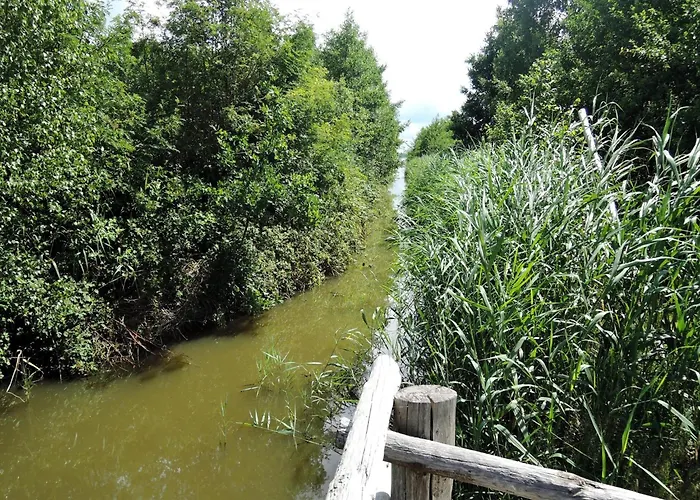 Lakefront Agritourism With Marina Access Апартаменты